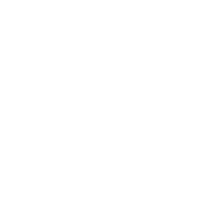 Apple Logo